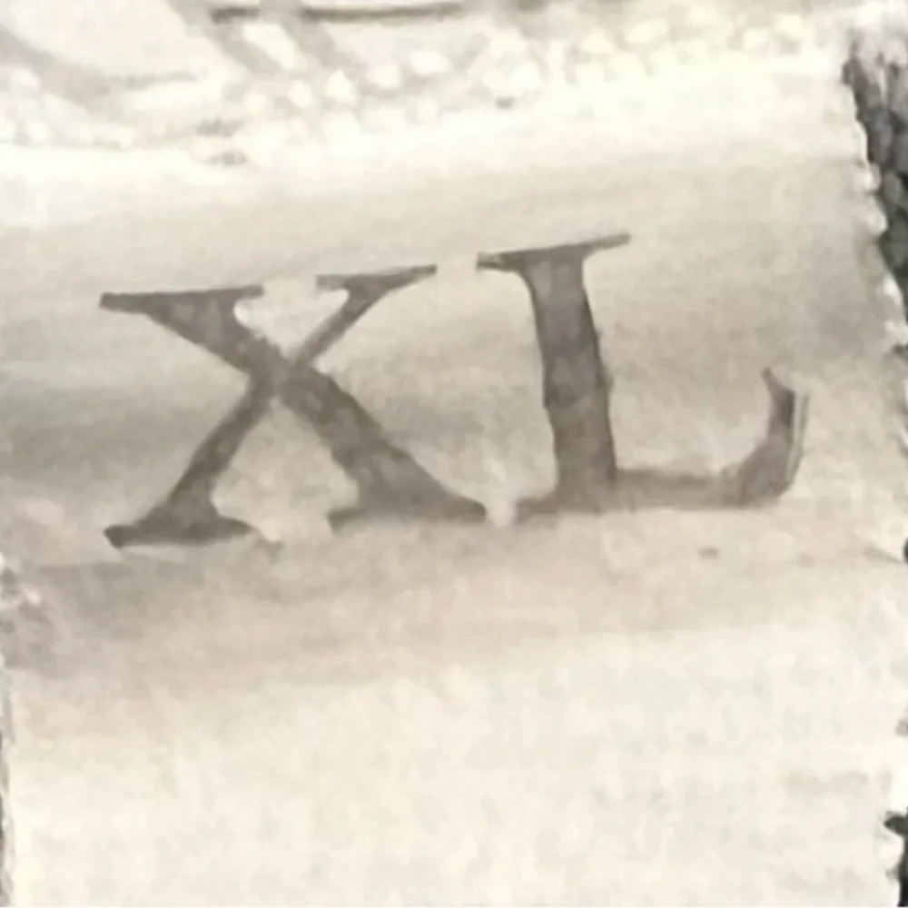 🍄Women's Sea Turtle Turquoise Ocean V-Neck Shirt Beach Vacation Top Blouse XL - Picture 5 of 8